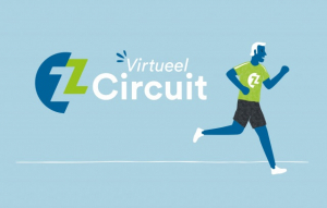 Virtueel ZZ Circuit